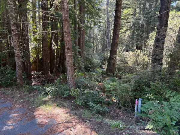 369 Big Tree Close RD 27A13, The Sea Ranch, CA 95497