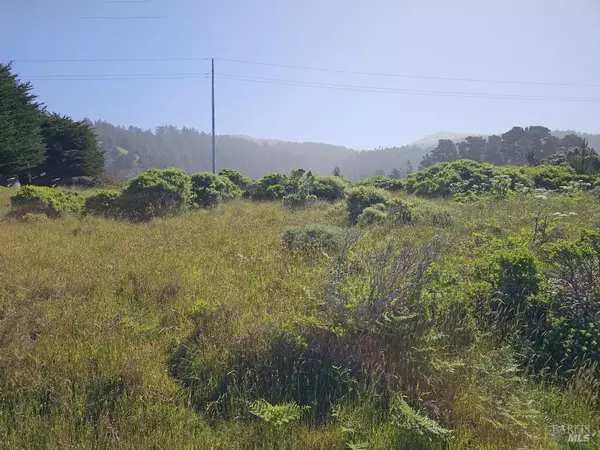 Irish Beach, CA 95459,15151 Mallo Pass DR