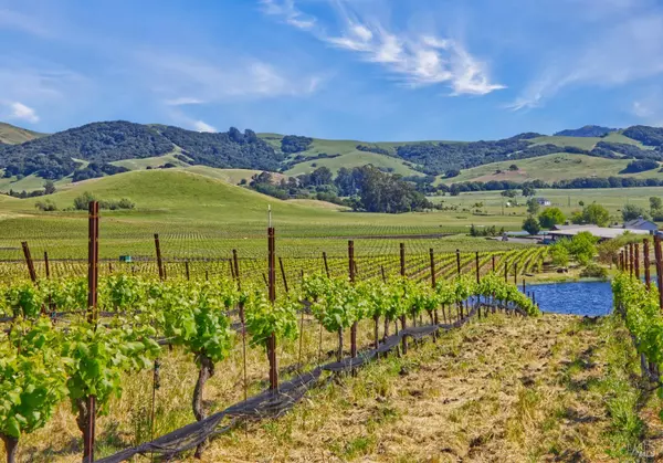 Petaluma, CA 94952,2590 Chileno Valley RD