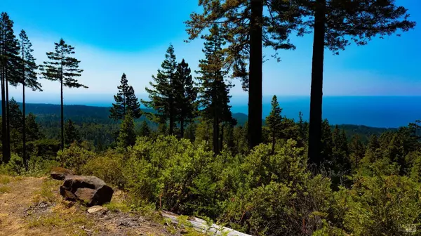 Point Arena, CA 95468,44591 Zettler RD