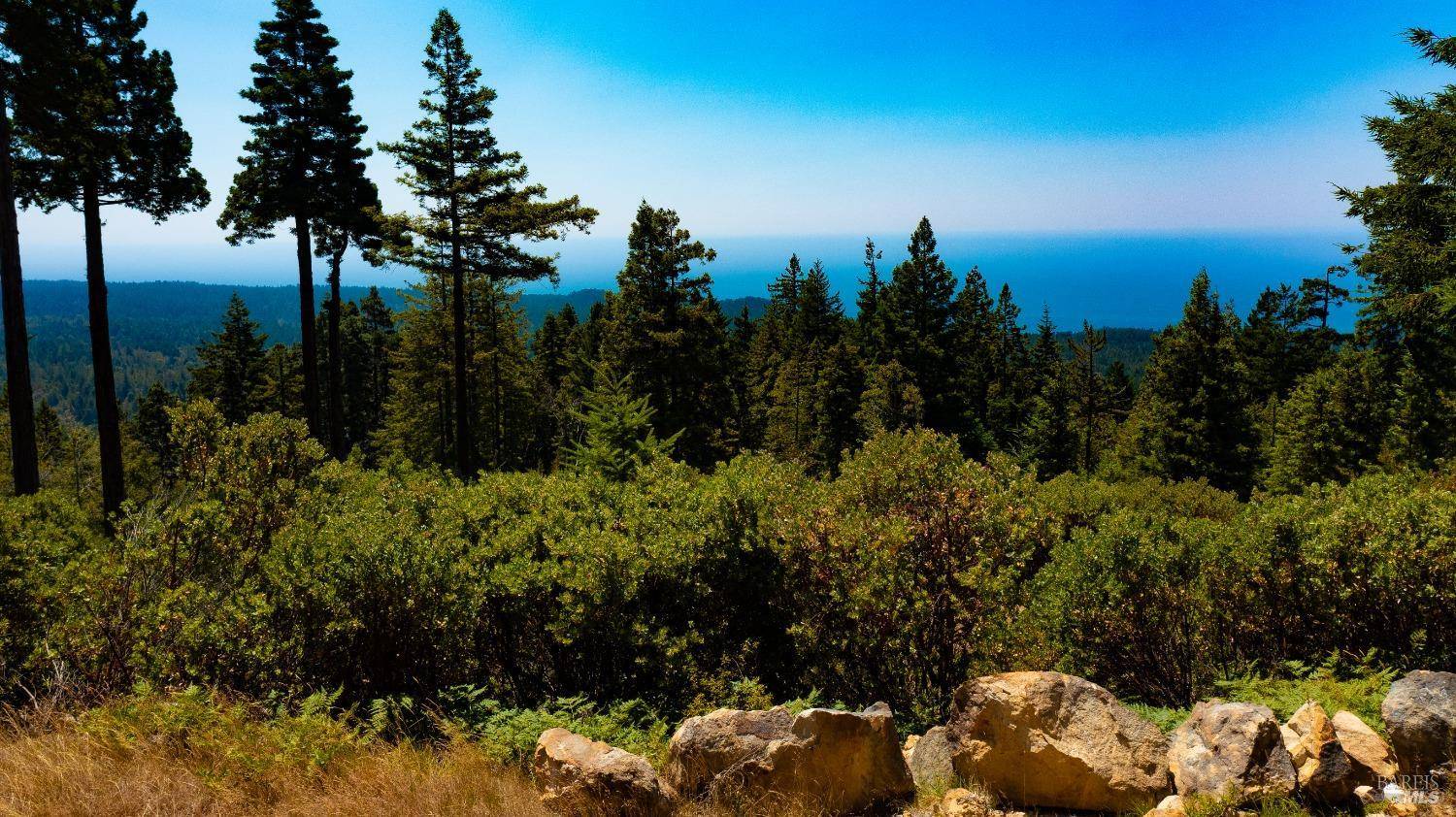 44591 Zettler RD, Point Arena, CA 95468