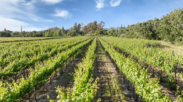 Sonoma, CA 95476,570 E Watmaugh RD
