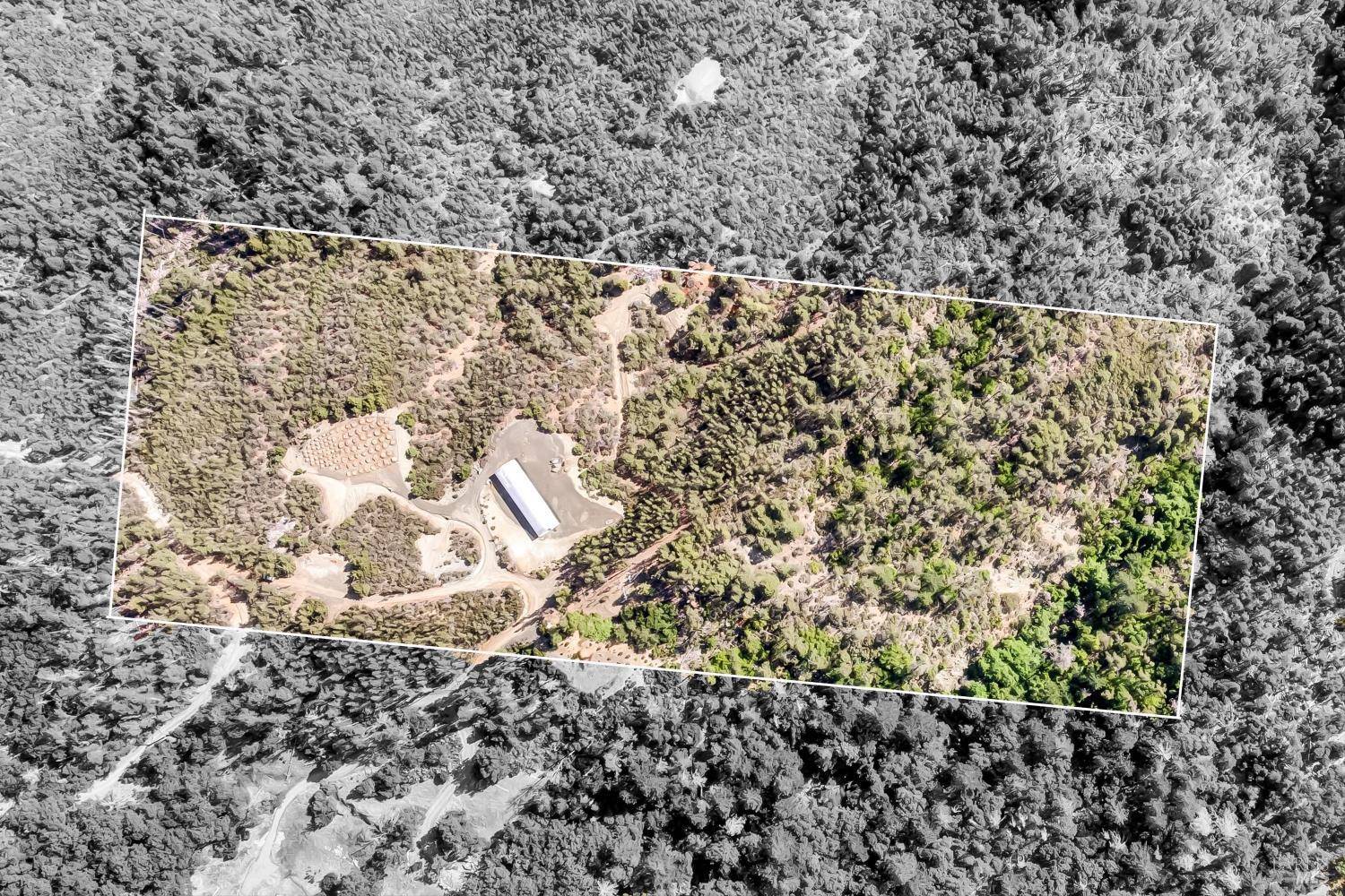 12125 Dry Creek RD, Middletown, CA 95461