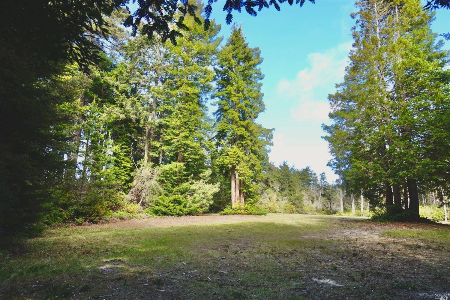 Mendocino, CA 95460,Address not disclosed