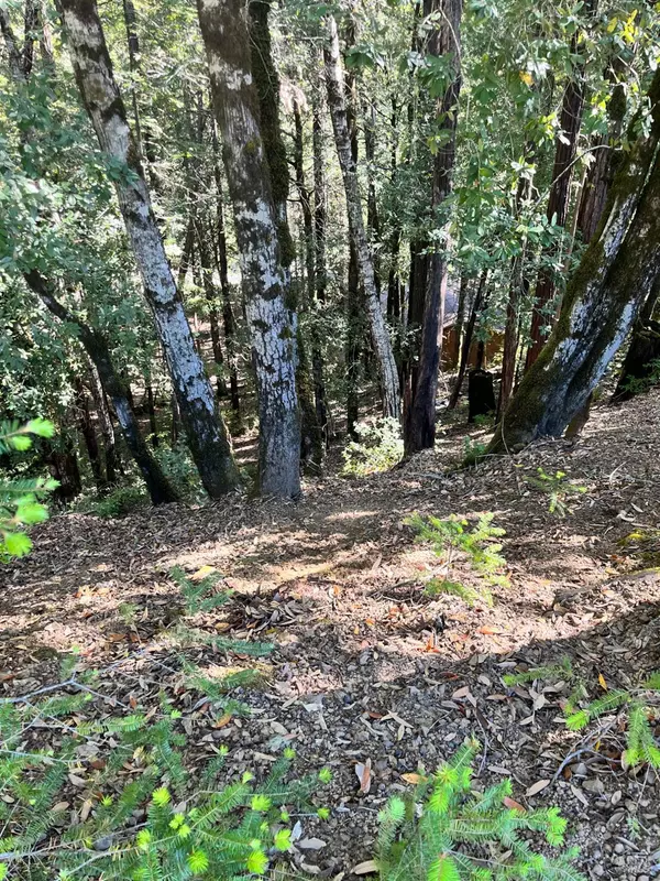 Willits, CA 95490,2185 Primrose DR