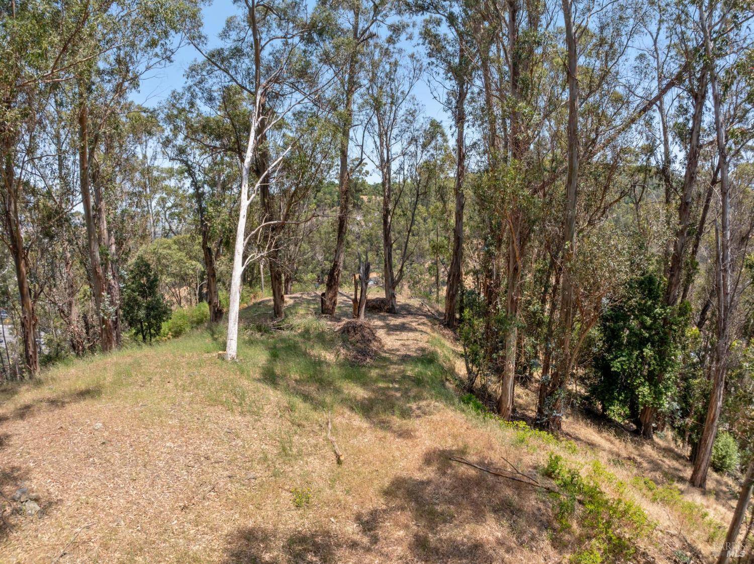 0 Chula Vista DR, San Rafael, CA 94901