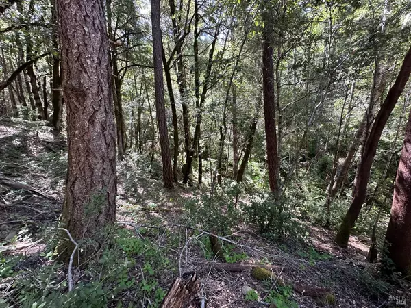 Leggett, CA 95585,0 Little Dan Creek RD