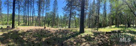 Cobb, CA 95426,15625 Bottle Rock RD