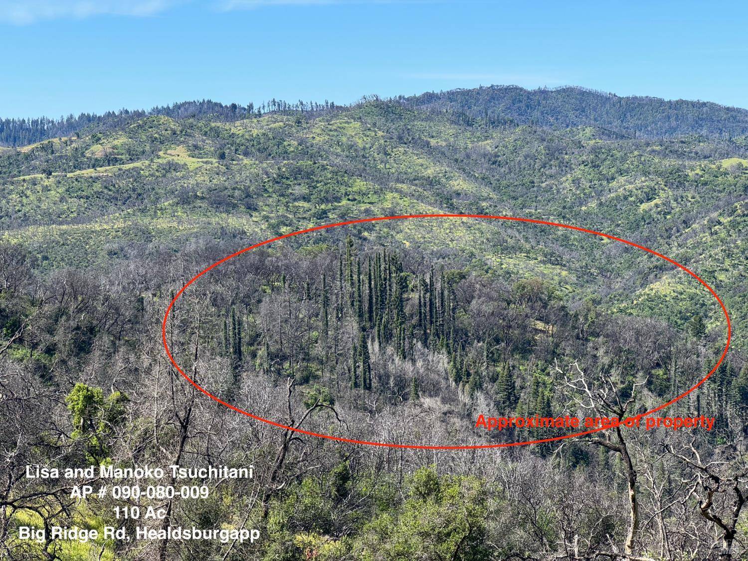 0 Big Ridge RD, Healdsburg, CA 95448
