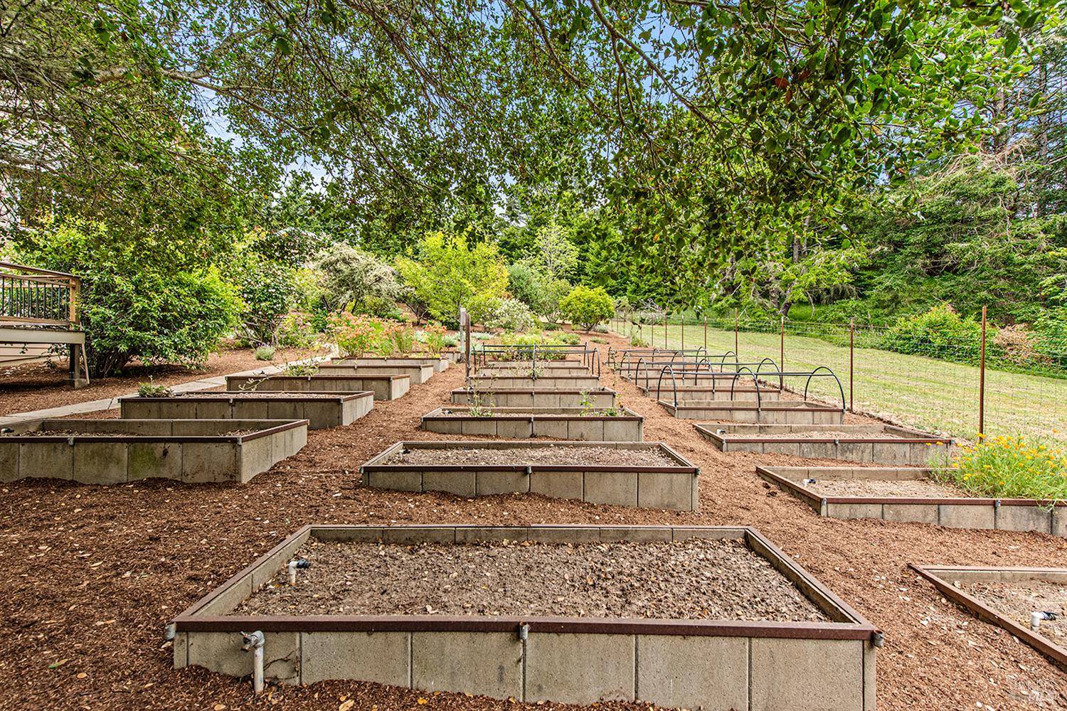 Occidental, CA 95465,17010 Burl LN