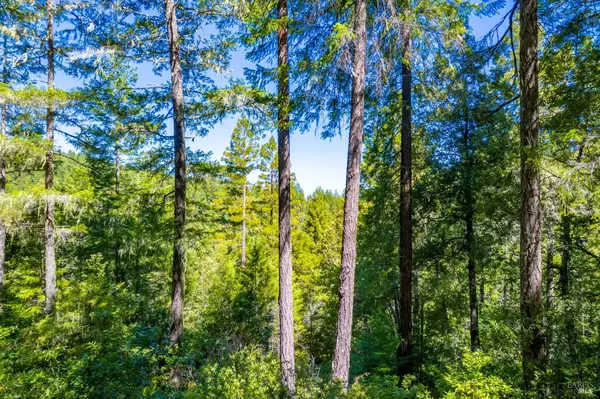 Boonville, CA 95415,0 16125 Honey Ridge RD