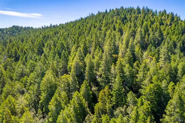 Boonville, CA 95415,0 16125 Honey Ridge RD