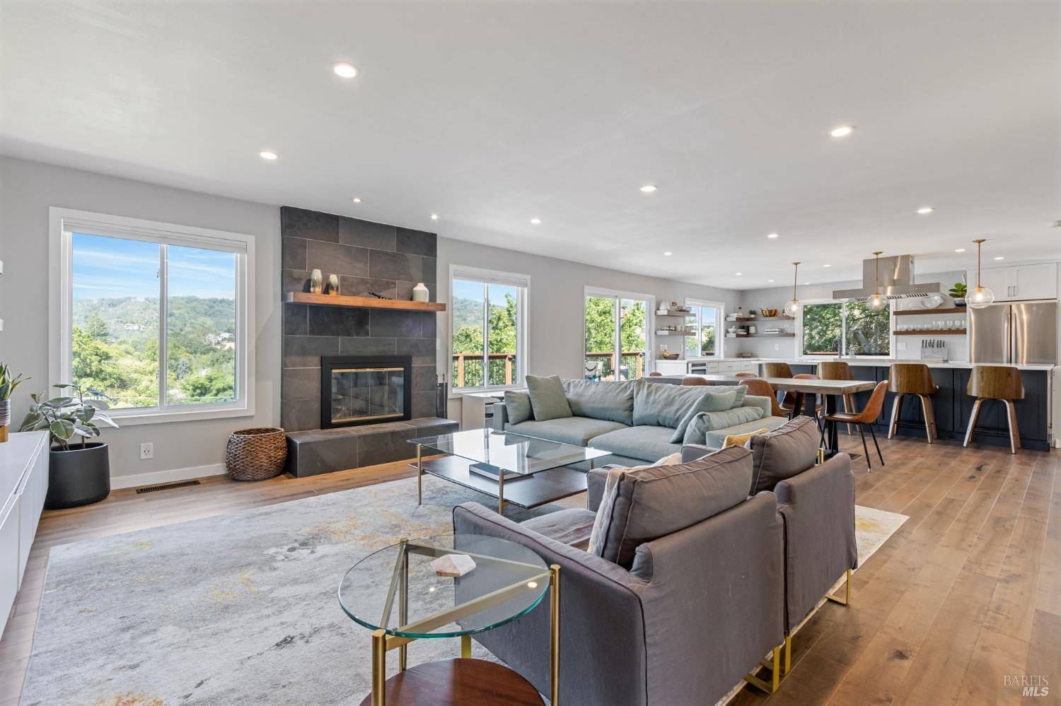 19 Hayes ST, Novato, CA 94947