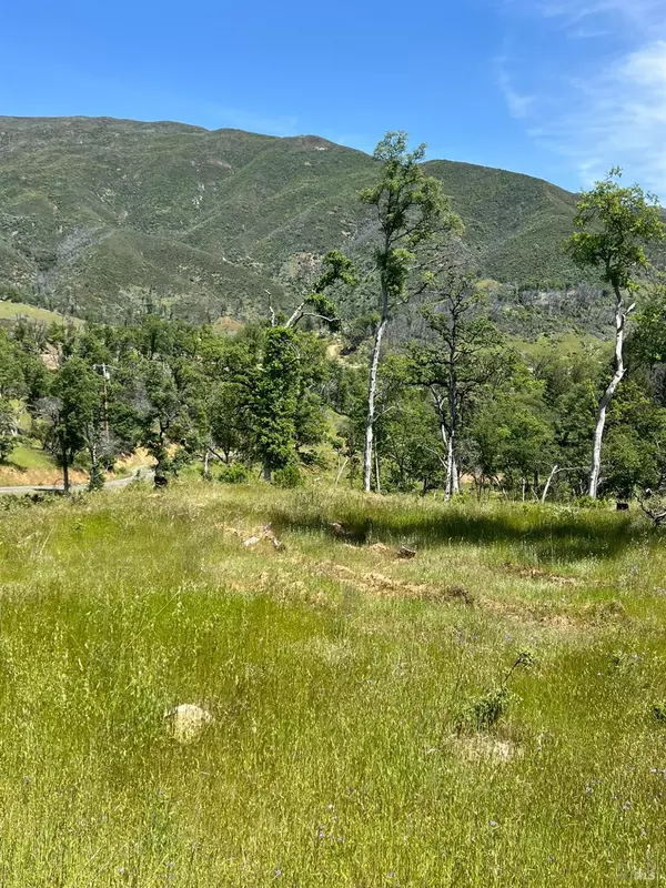 Upper Lake, CA 95485,12609 Elk Mountain RD