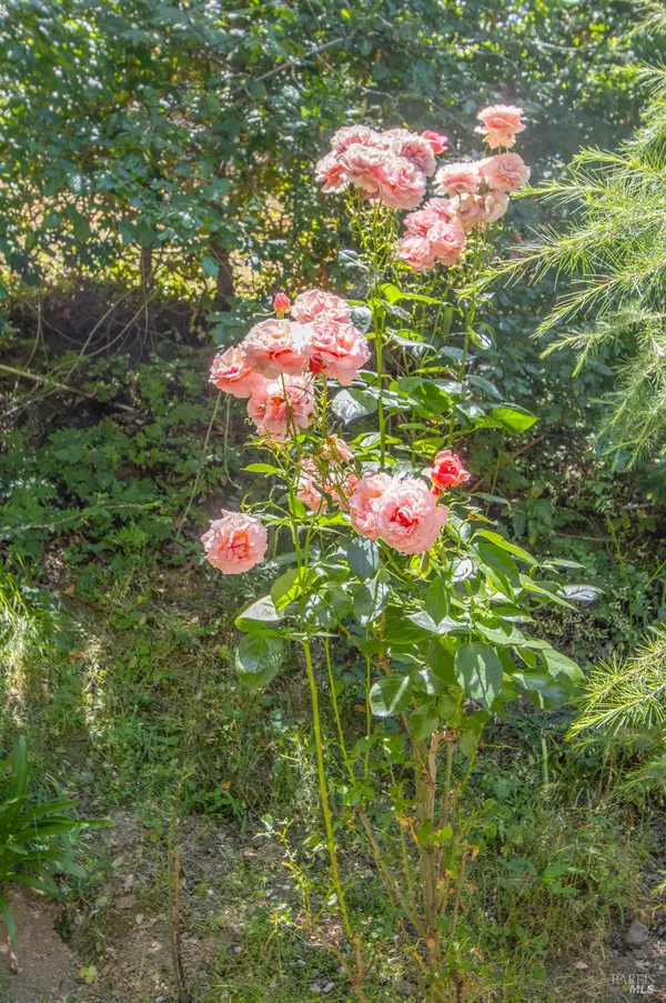 Novato, CA 94949,22 Marin Valley DR