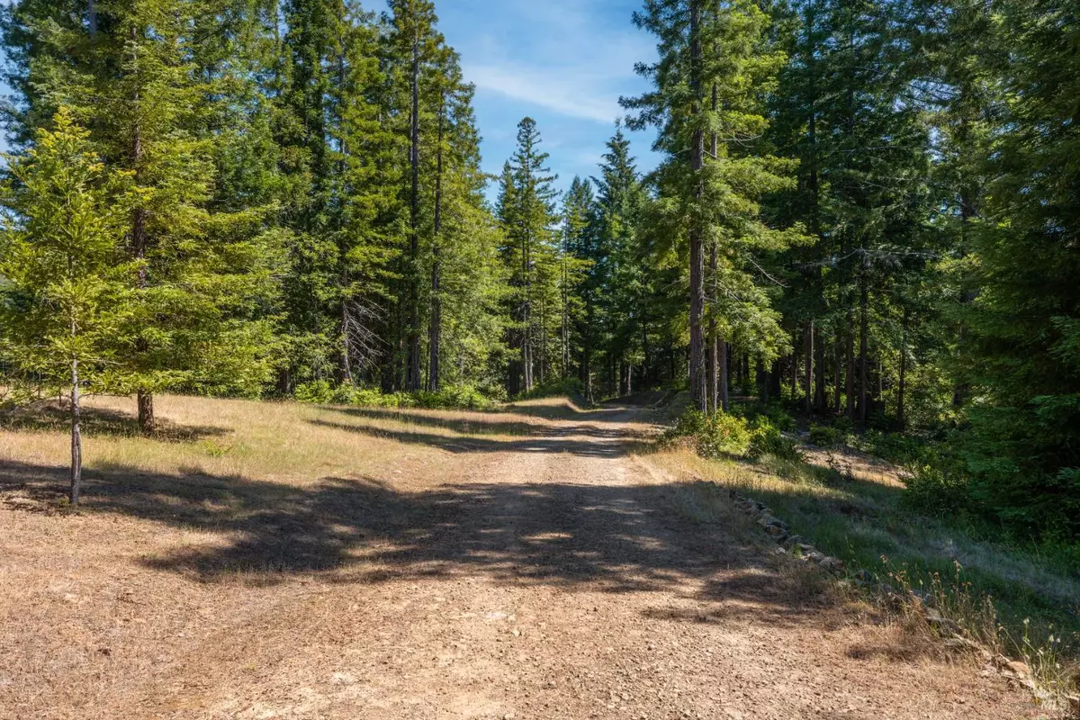 Comptche, CA 95427,5801 Flynn Creek RD