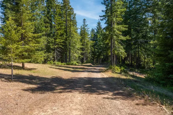 Comptche, CA 95427,5801 Flynn Creek RD