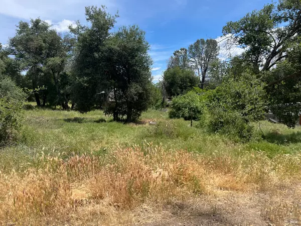 Clearlake, CA 95422,3528 ukiah ST