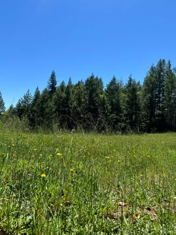 Healdsburg, CA 95448,4579 Mill Creek RD