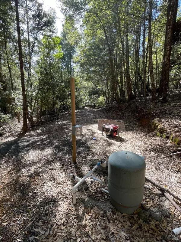 Laytonville, CA 95454,53800 Highway 101