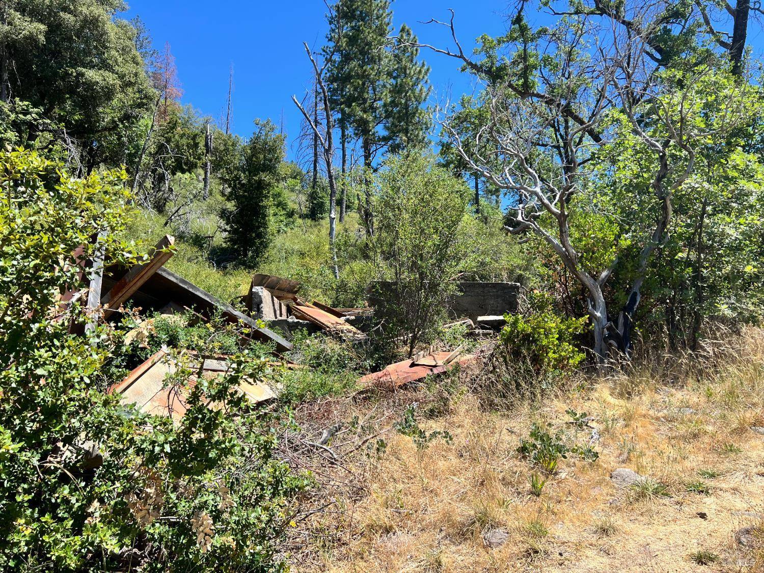 Cobb, CA 95426,10725 Gifford Springs RD