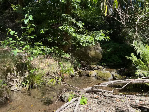 Upper Lake, CA 95469,20925 Mid Mountain (17N17 USFS) RD