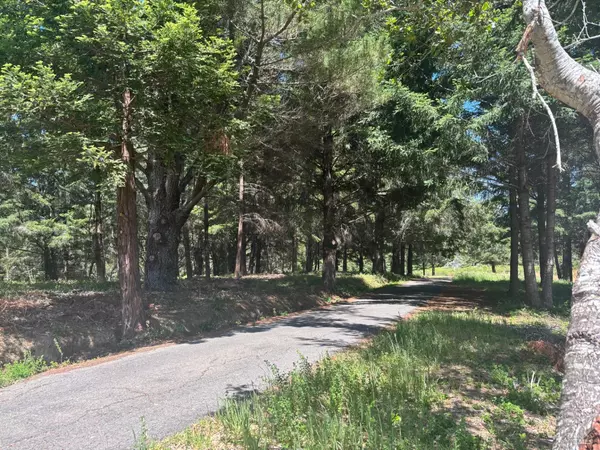 Guerneville, CA 95446,21380 Siri RD