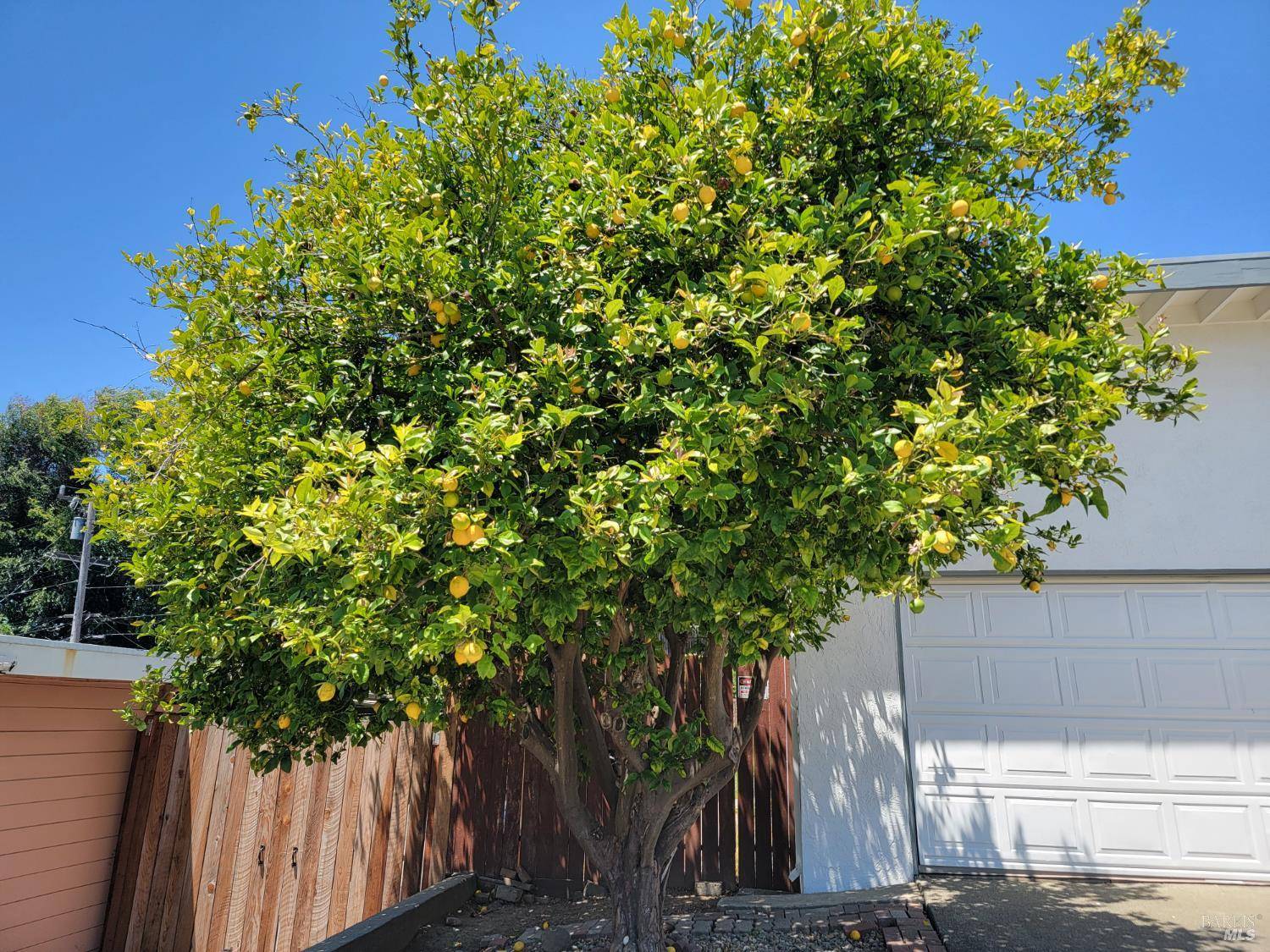 Vallejo, CA 94589,236 Los Gatos AVE