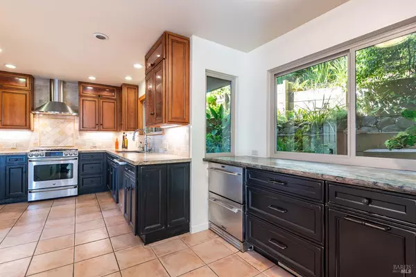 Novato, CA 94947,50 Palomino CIR