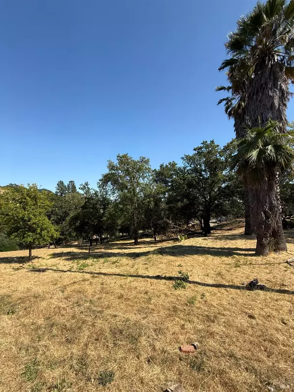 1584 Healdsburg AVE, Healdsburg, CA 95448