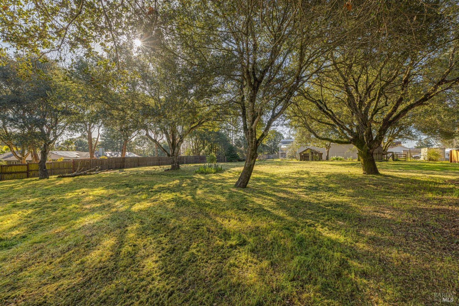 9980 Oak ST, Penngrove, CA 94951