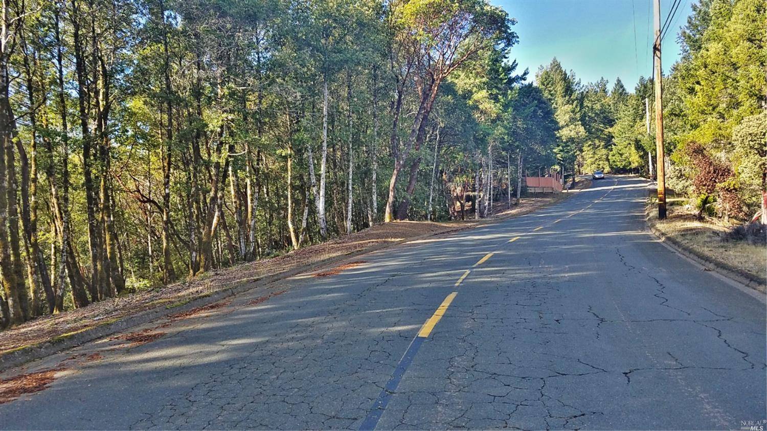 Willits, CA 95490,2235 Goose RD