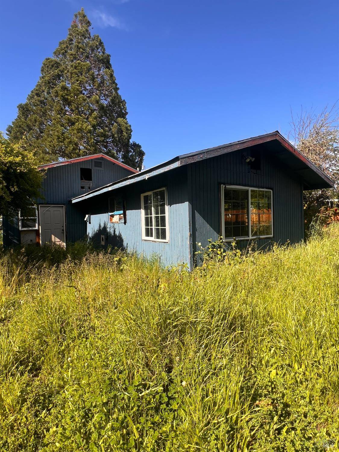Willits, CA 95490,481 Della AVE