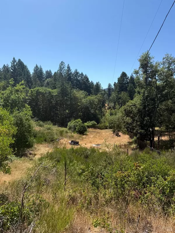 Willits, CA 95490,1655 Hilltop DR