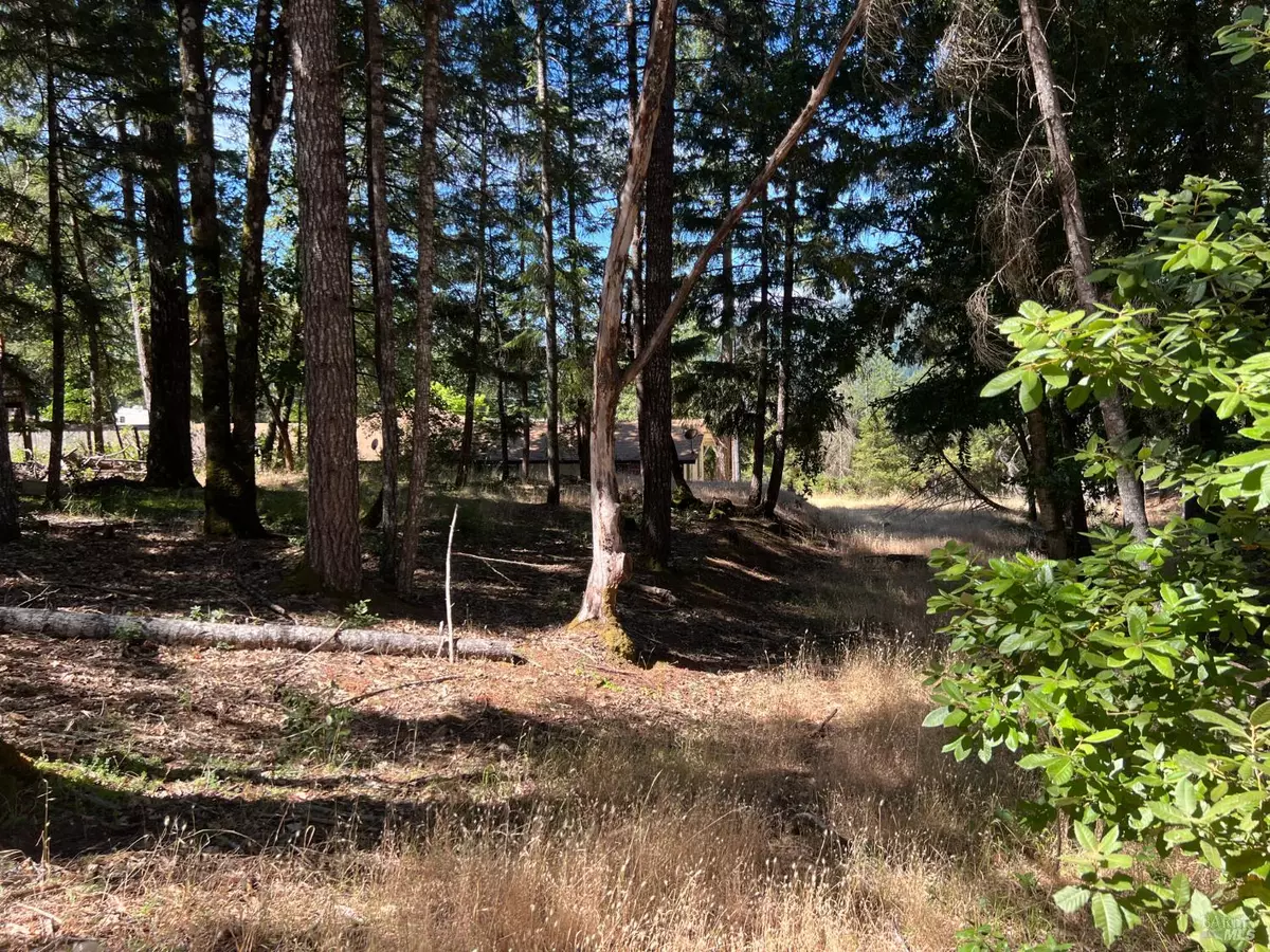 Willits, CA 95490,1495 Daphne DR