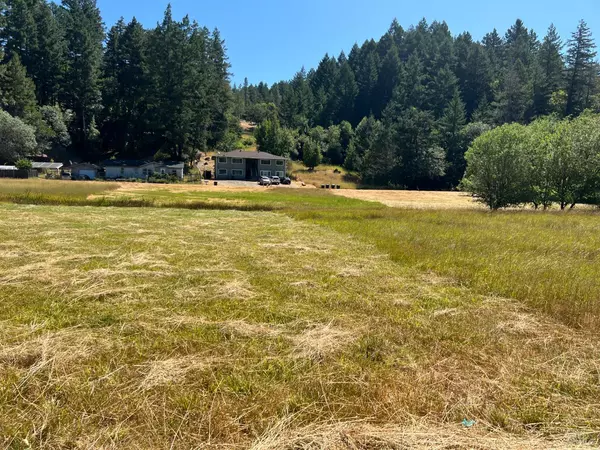 Willits, CA 95490,25158 Madrone DR