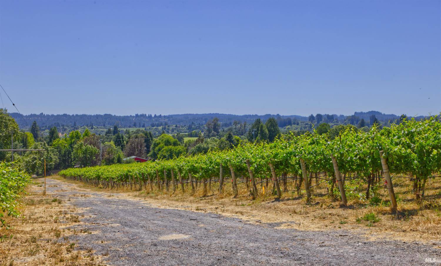 Sebastopol, CA 95472,5200 116 N HWY