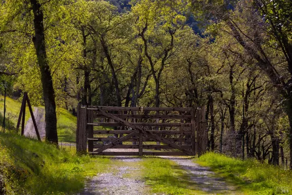 Potter Valley, CA 95469,10301 E Highway 20 RD