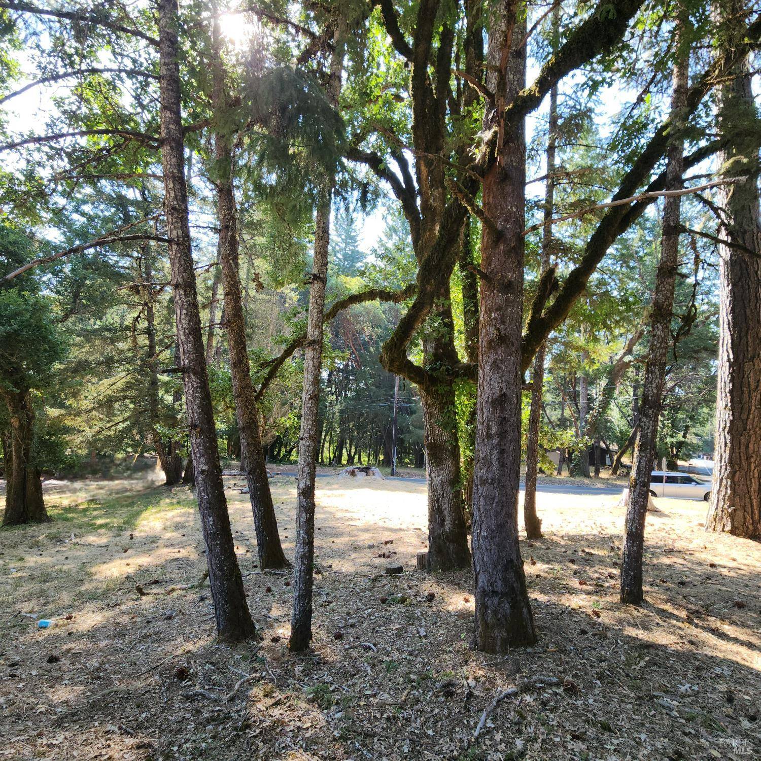 25331 Sherwood RD, Willits, CA 95490