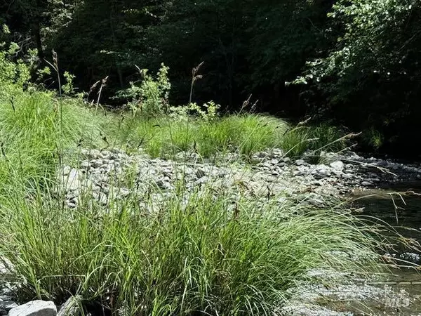 Annapolis, CA 95412,0 Skaggs Springs RD