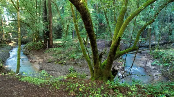 Healdsburg, CA 95448,1490 Felta RD