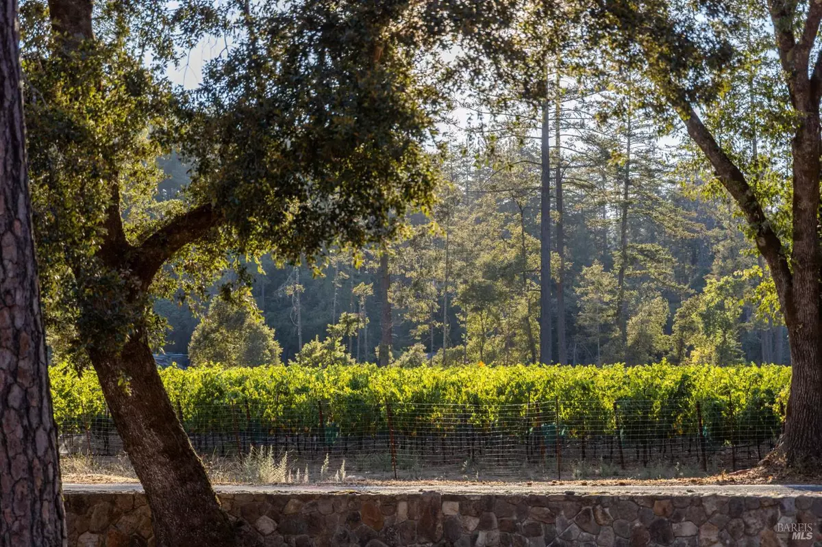 Angwin, CA 94508,1050 White Cottage RD N