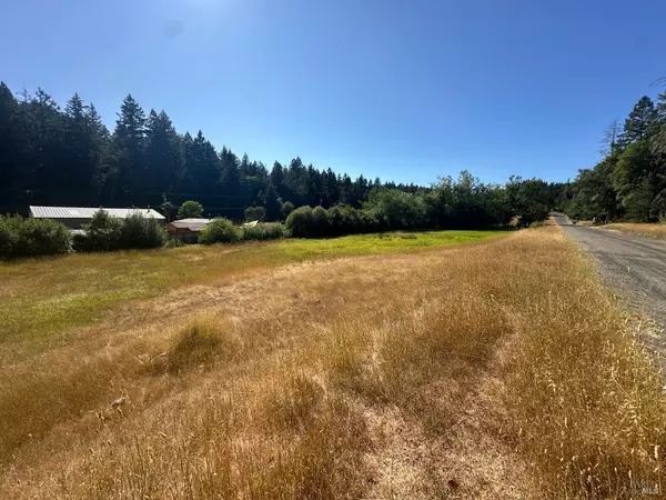 Willits, CA 95490,25460 Madrone WAY