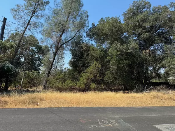 Clearlake Oaks, CA 95423,3049 Wolf Creek RD