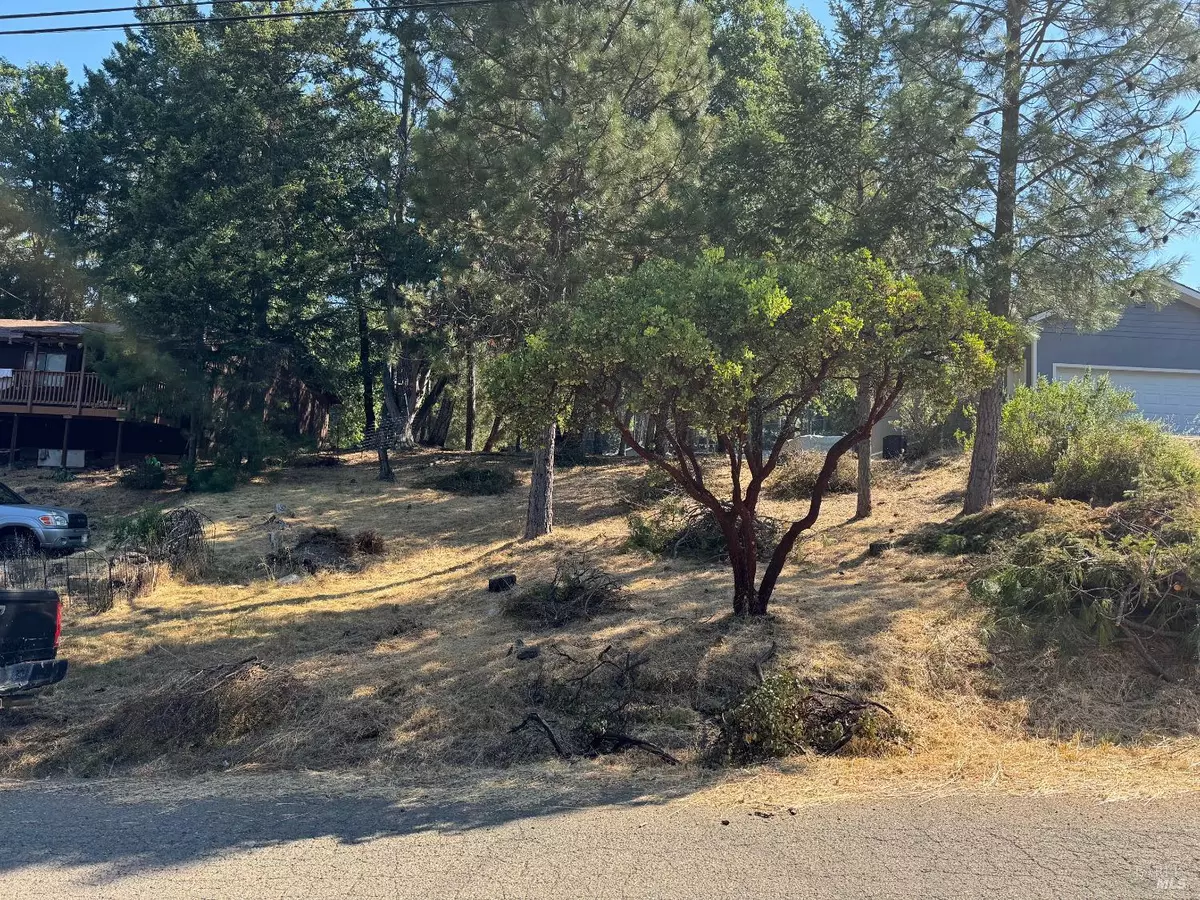 Willits, CA 95490,1596 Daphne DR