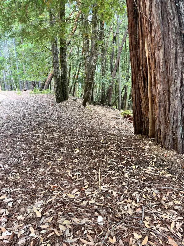 Willits, CA 95490,23649 Ridge RD