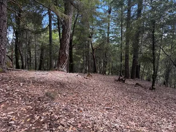 Willits, CA 95490,4297 Daisy DR