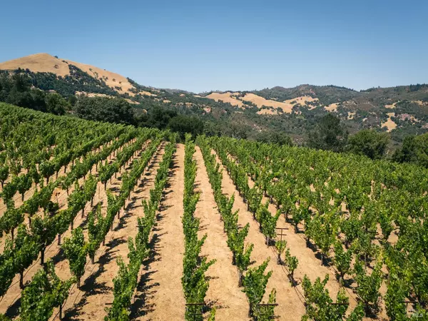 Napa, CA 94558,316 Wall RD