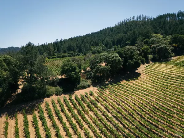 Napa, CA 94558,316 Wall RD