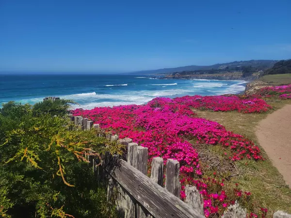 The Sea Ranch, CA 95497,68 Black Point